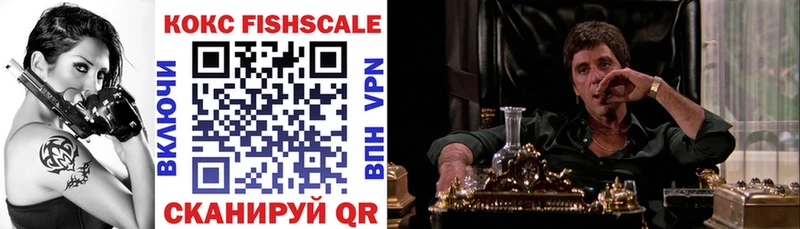 где купить   Тырныауз  COCAIN FishScale 