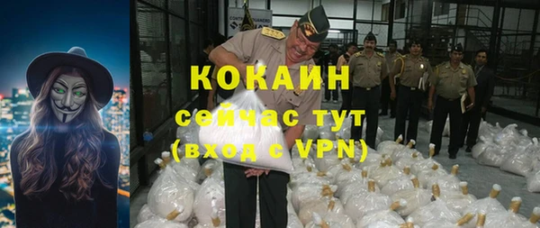 винт Болотное